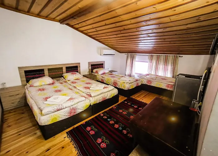 Alikante Ξενοδοχείο Sarnitsa